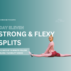 Day 11: Strong & Flexy Splits