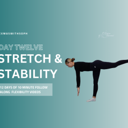 Day 12: Stretch & Stability